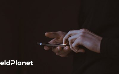 5 kroków do skutecznej sprzedaży wielokanałowej w Internecie