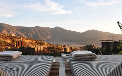 Strategies for hotel revenue managers in COVID times: brace your business upfront! Part II
