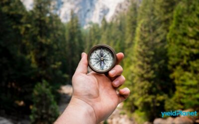 Top 8 educational materials about revenue management