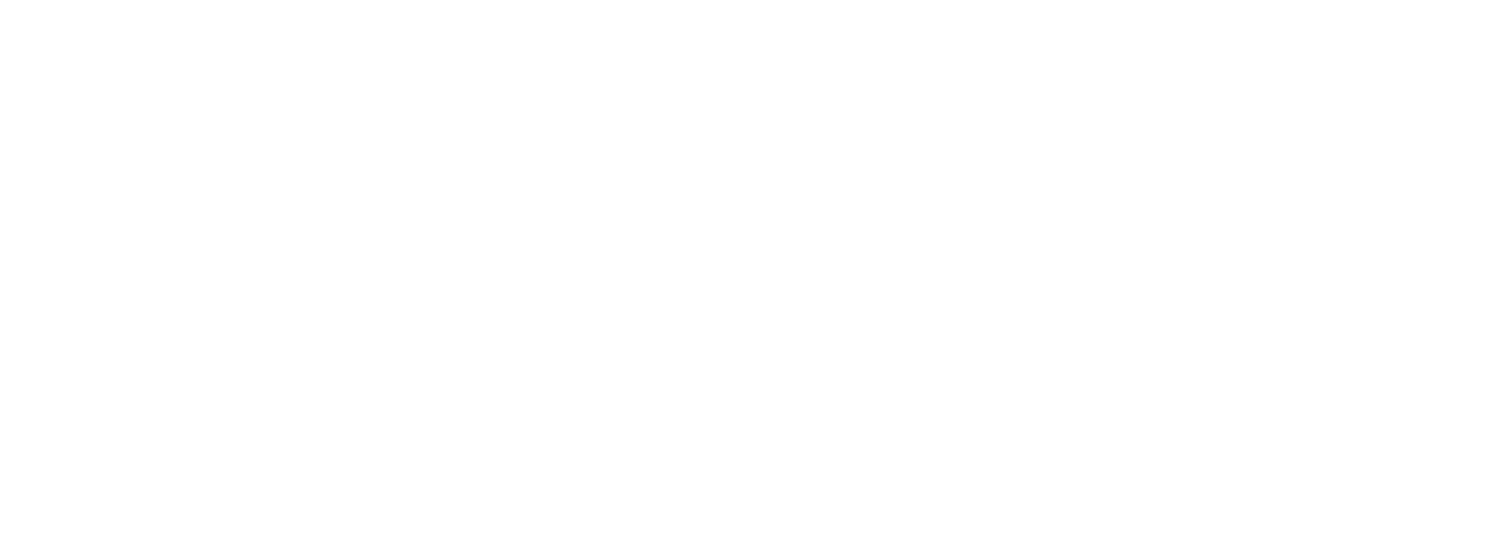 logo_white_transparent (2)